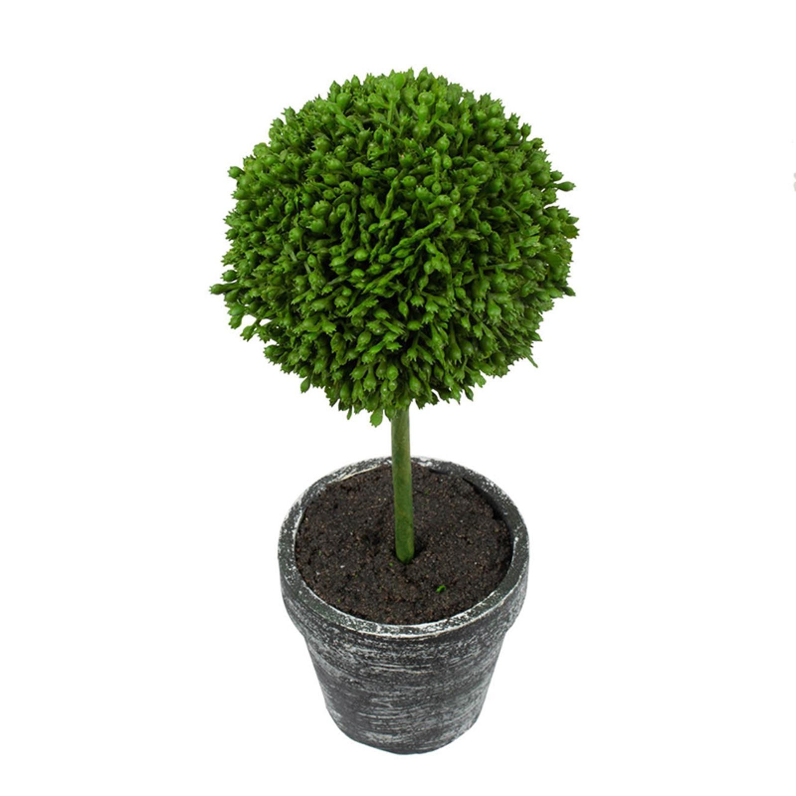 Potted Artificial Boxwood Mini Topiary Lush Green Decorative Plant Set for