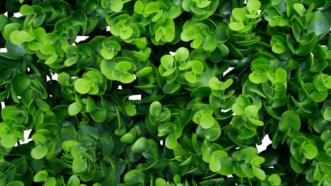 Emerald Artificial Greenery – Artificial Ivy Panel (Box) Long Boxwood
