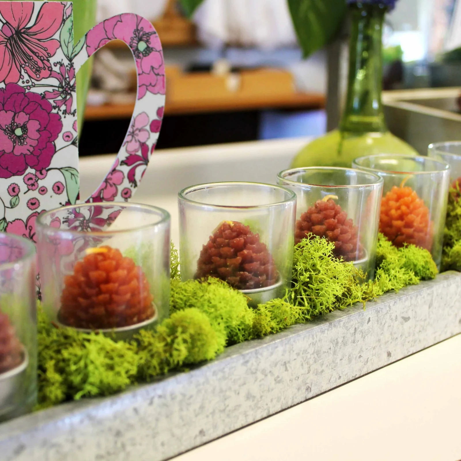 Reindeer Lichen Moss Terrariums Living Wall Railroad Scenery LOT x5 Chartreuse