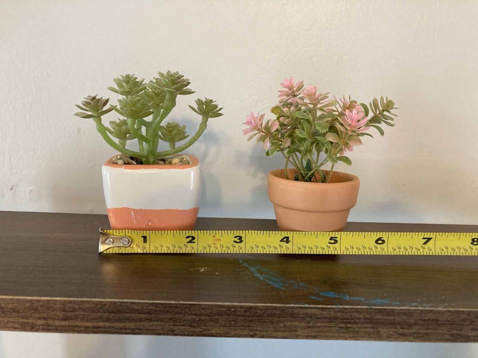 Succulents, Faux Small And Cute