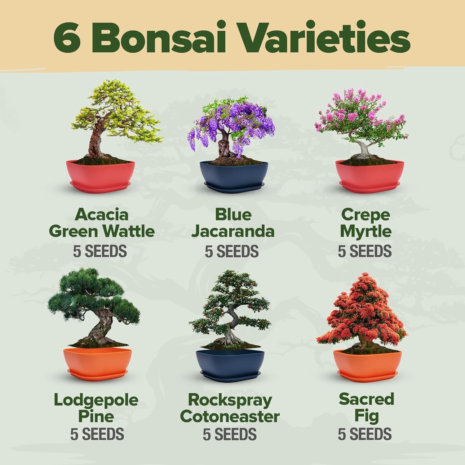 HOME GROWN 𝗨𝗦𝗔 Bonsai Tree Kit – 6 Heirloom Varieties Master