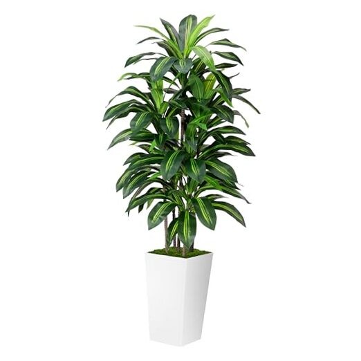 Artificial Dracaena Plant Indoor 5FT – Fake Tree with Tall Planter – 5ft White