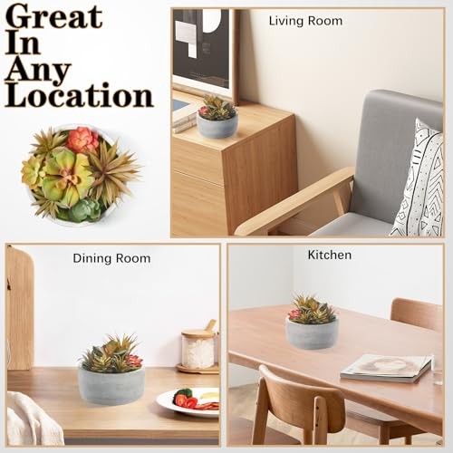 Artificial Succulent Plants in Pots,Fake Succulents with Gray 6inch Grey#1