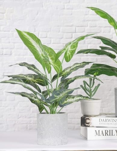 Plantas Artificiales 16 Pulg Tropical Falsas Interior Escritorio Hogar Oficina