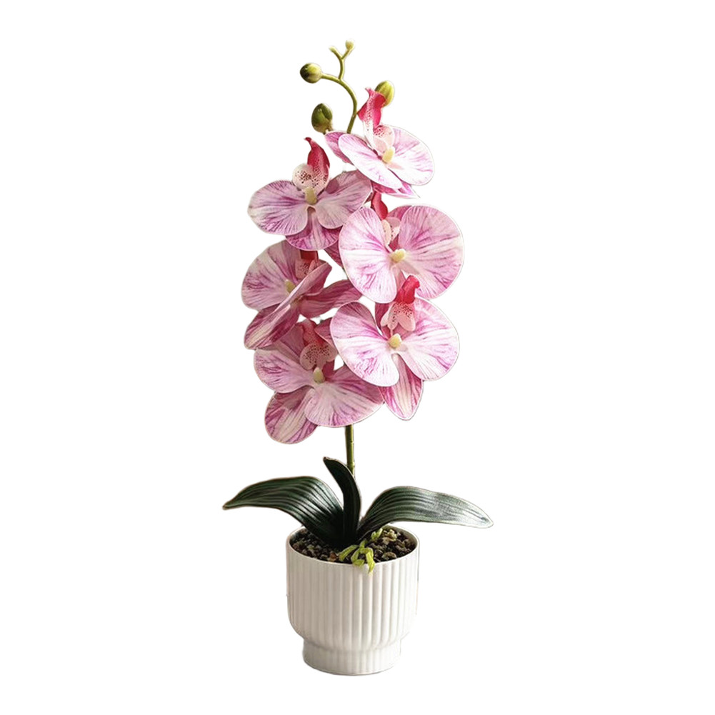 42cm Phalaenopsis Orchid Fake Flower Plastic Stem with Natural Texture