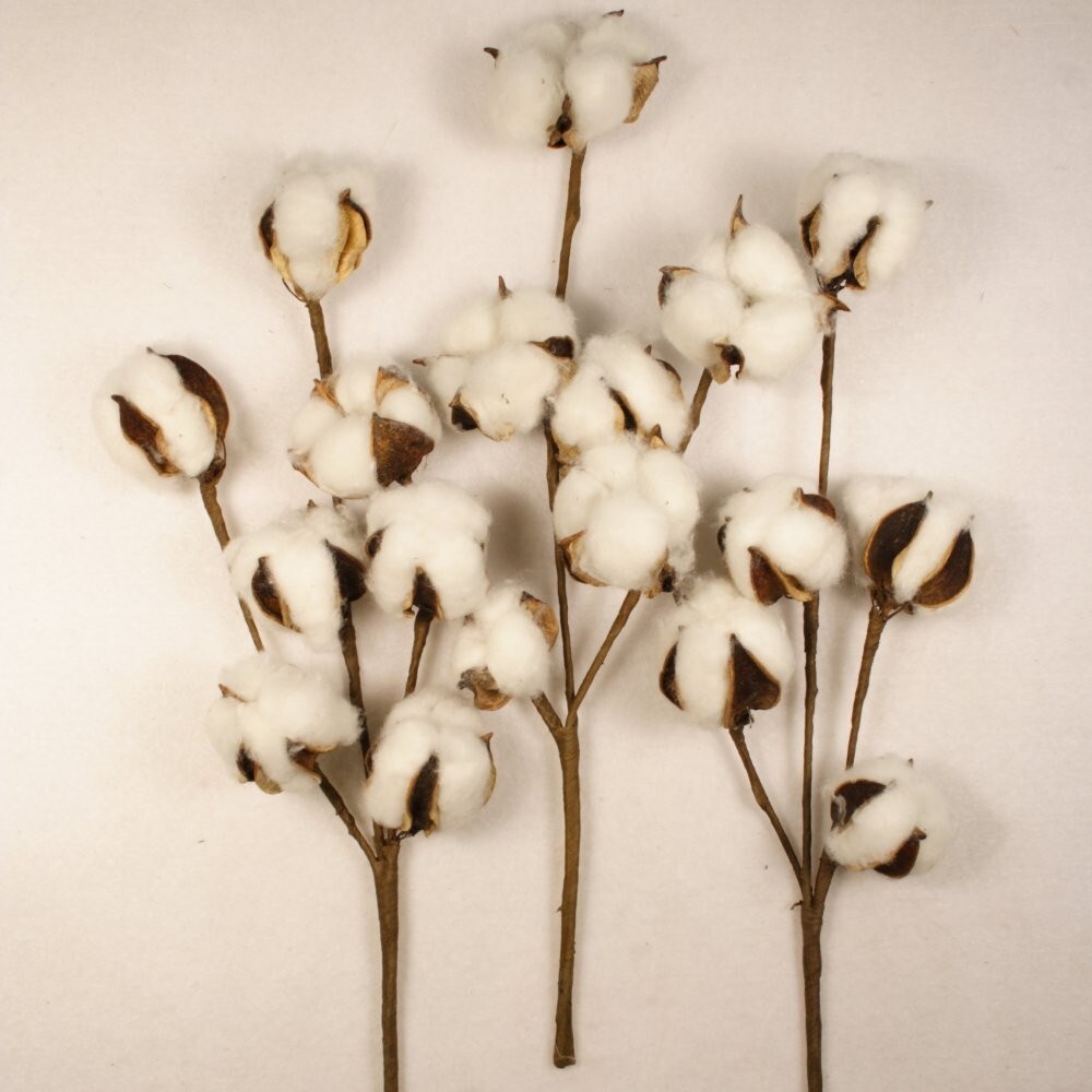 11″ Cotton Boll Cotton Stem Spray 6 Bolls Per Stem (3 Piece Lot)#00104029010