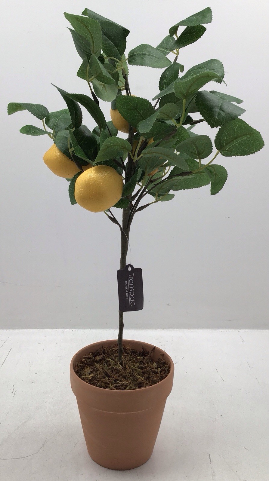 Transpac Faux Lemon Tree in Terracotta Pot Tabletop Plant 20 Inches Tall