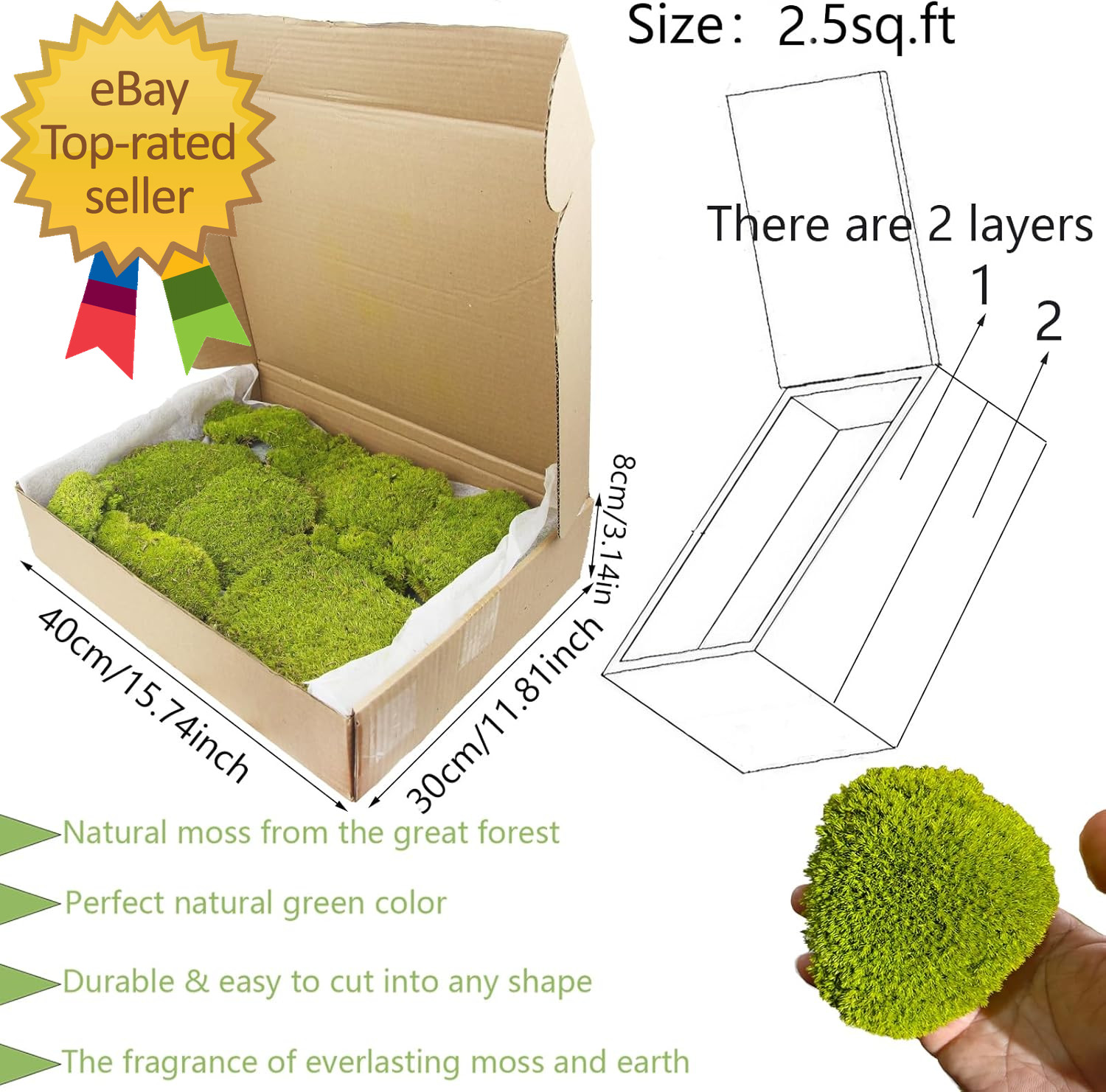 Preserved Pillow Moss Bulk Green Moss Balls for Bowls 2.5 Sq.Ft Natural