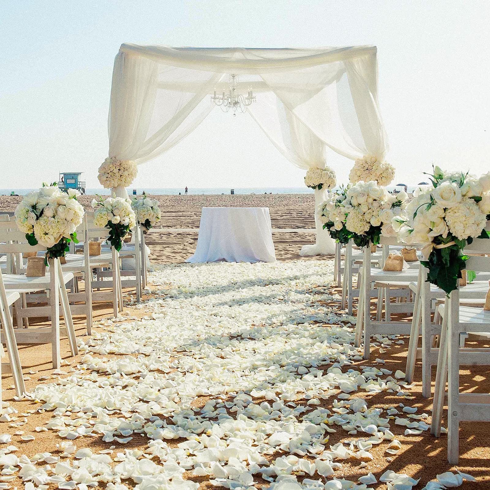 5000 Pcs Rose Petals Artificial Flower for Valentine’s Wedding Decor Romantic…