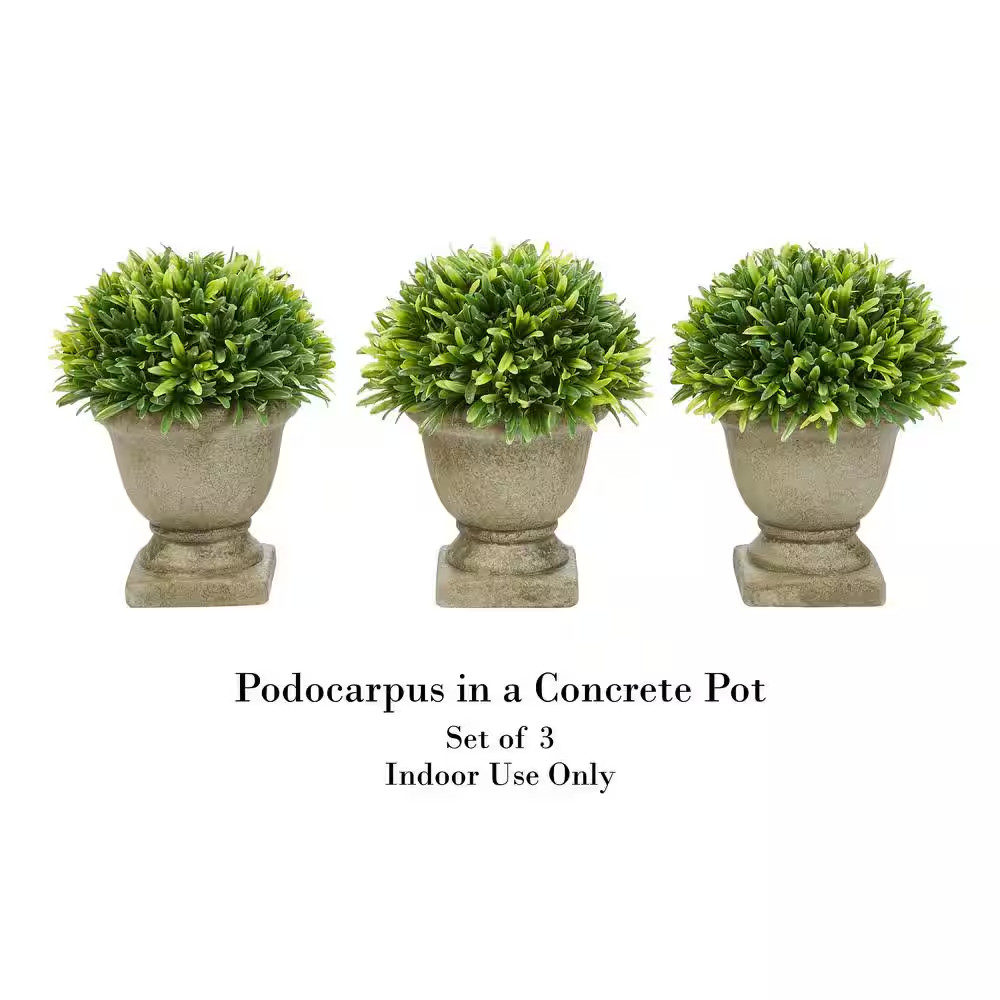 7.5 In. Artificial Podocarpus Grass Plant in Concrete Pot (Set of 3)
