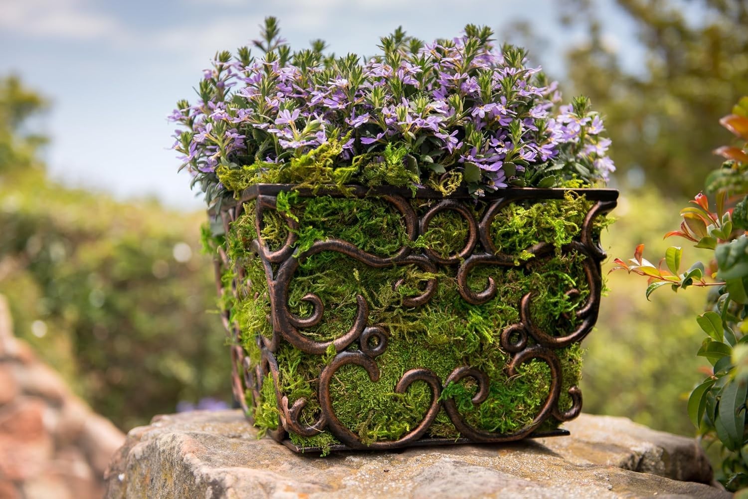 Sheet Moss for Terrariums, 20-24 sq ft