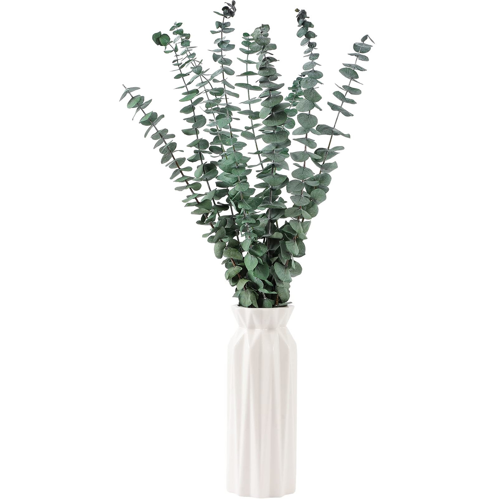 10 Pcs Dried Eucalyptus Stems 17″ Real 10 Eucalyptus, Green