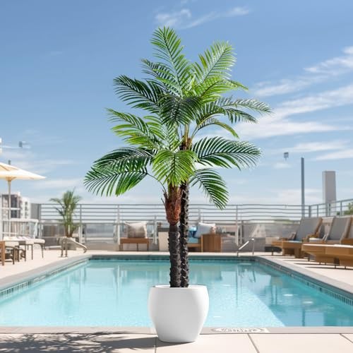 6.2FT Artificial Phoenix Palm Tree Artificial 6ft 2in Triple Phoenix Palm Tree