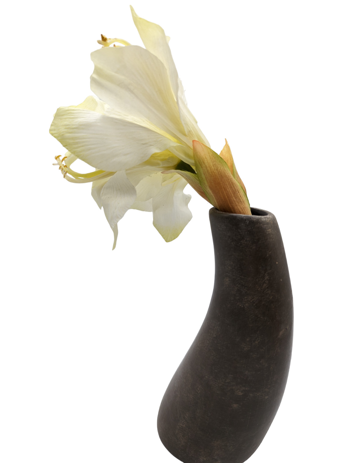 Rare Pier 1 Imports Ceramic Curved Potted Amaryllis Flower Home Decor 13 in