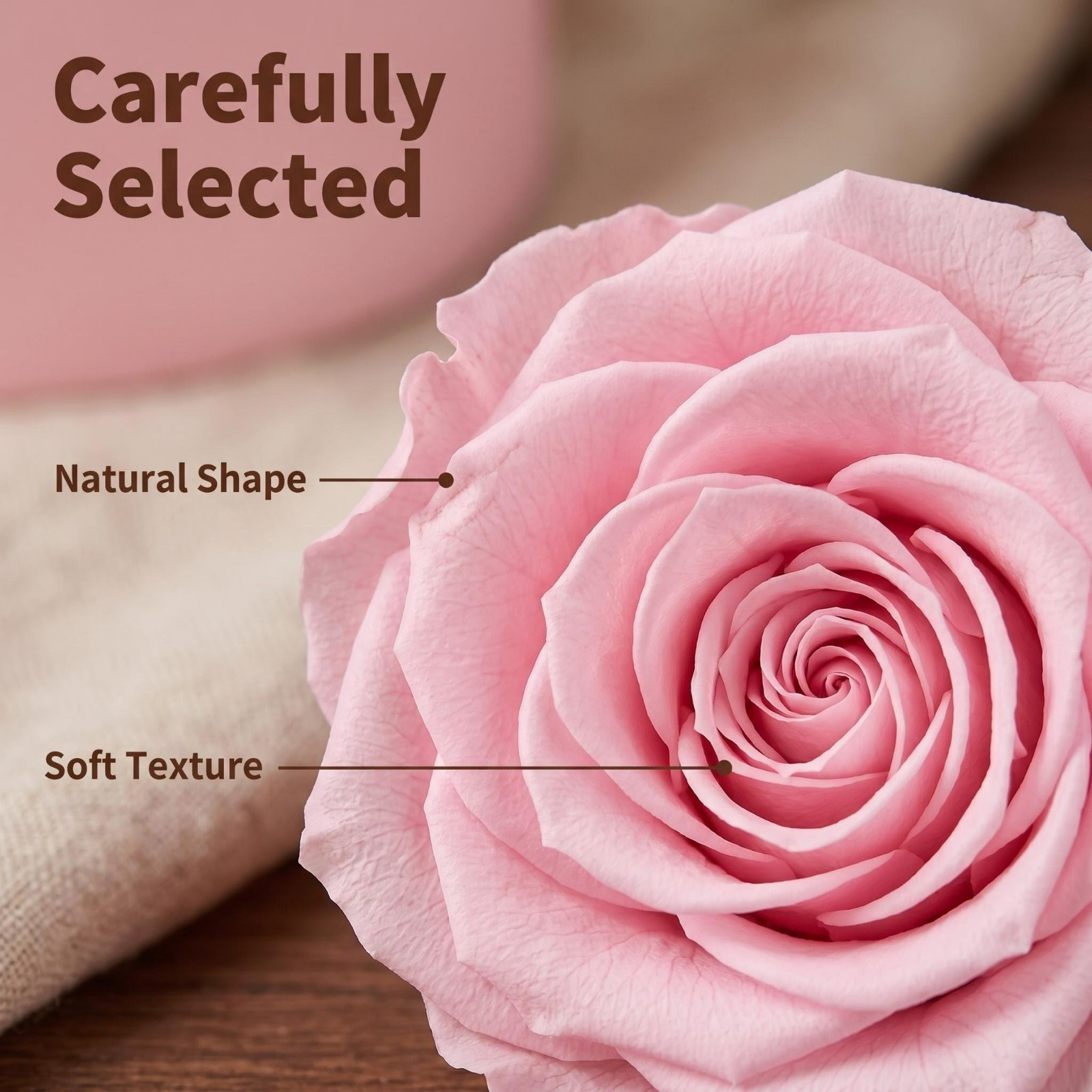 8 Preserved Roses Eternal Roses Heads Bulk Pink for her Gift Wedding Valentine