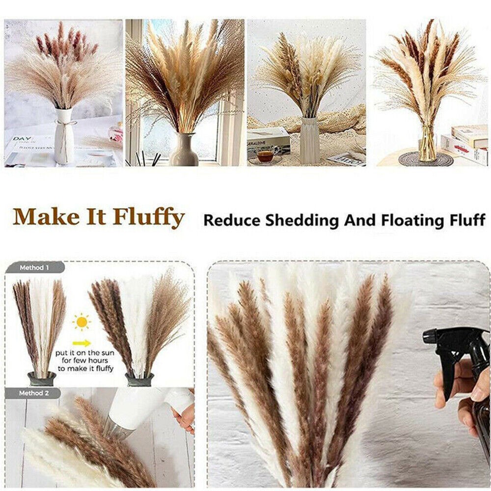60PCS Pampas Grass Natural Dried Reed Flower Bunch Bouquets Home Wedding Decor