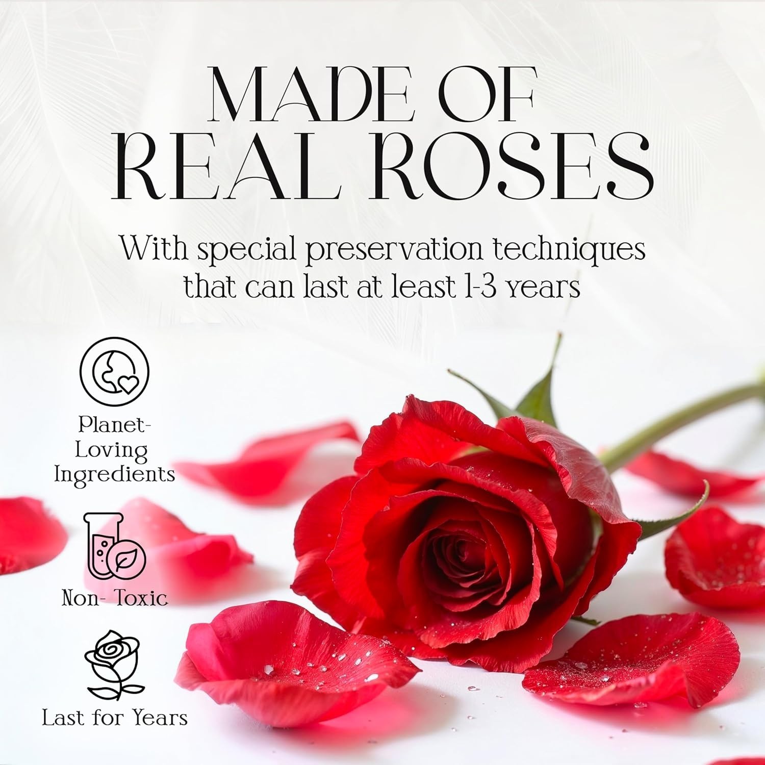 Eternal Rose flower Preserved rose everlasting rose flower gift with Led Light