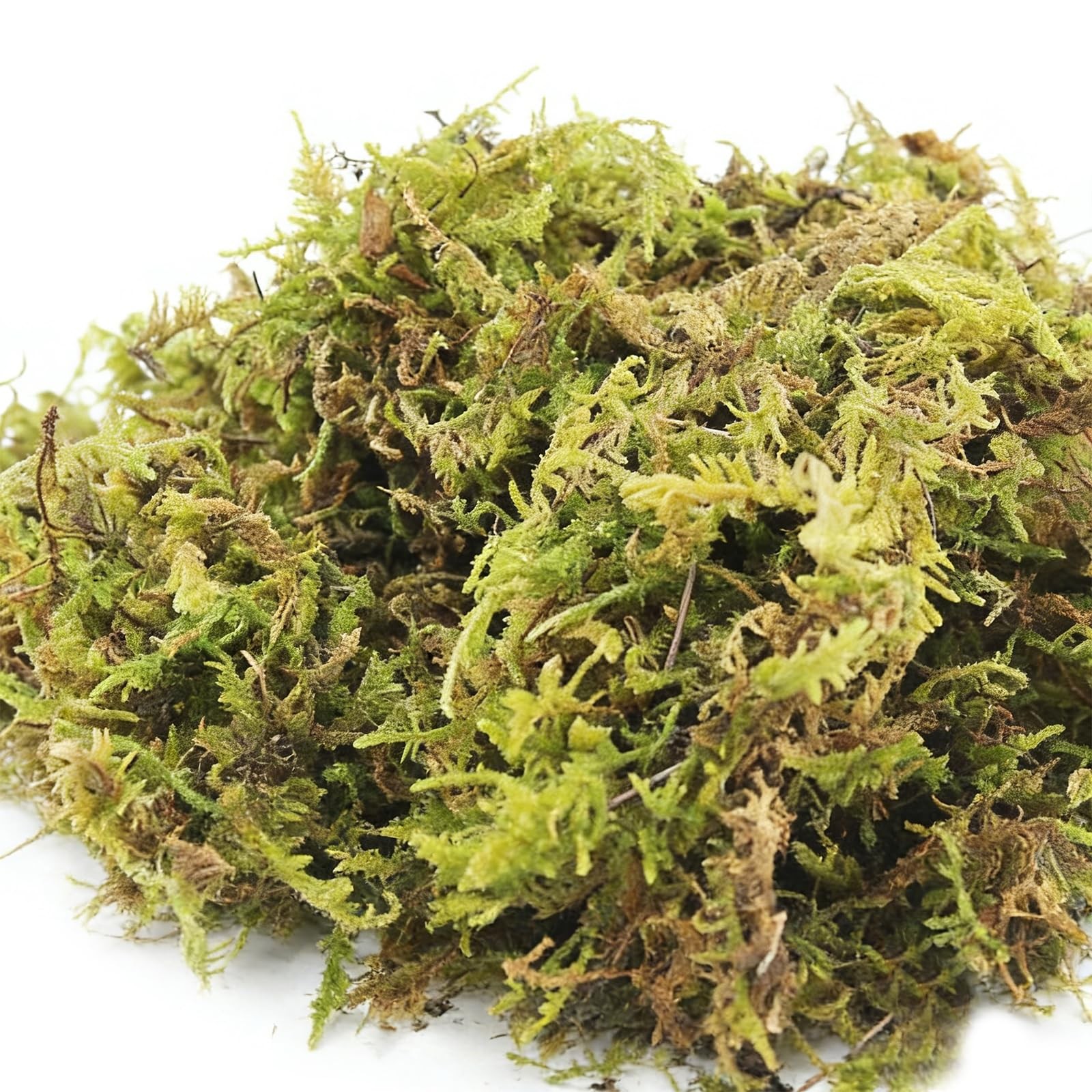1.1 LBS Artificial Fake Moss Premium Faux Terrarium Craft Natural Green Decor