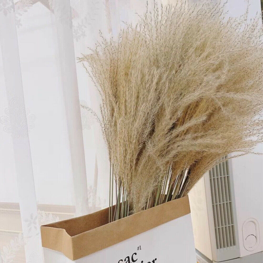 60PCS Natural Dried Pampas Grass Reed Flower Bunch Bouquets Home Wedding Decor