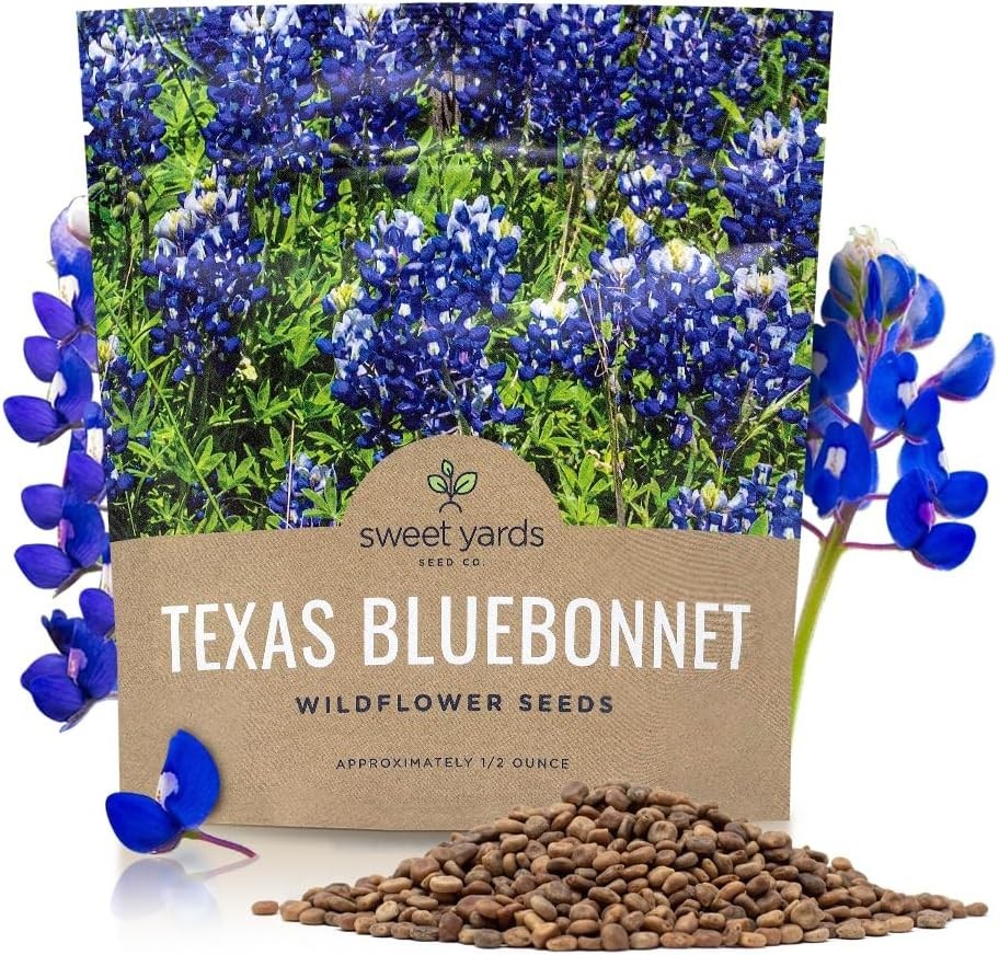 Texas Bluebonnet Wildflower Seeds – 1/2 Ounce Bulk Packet, 500+ Seeds