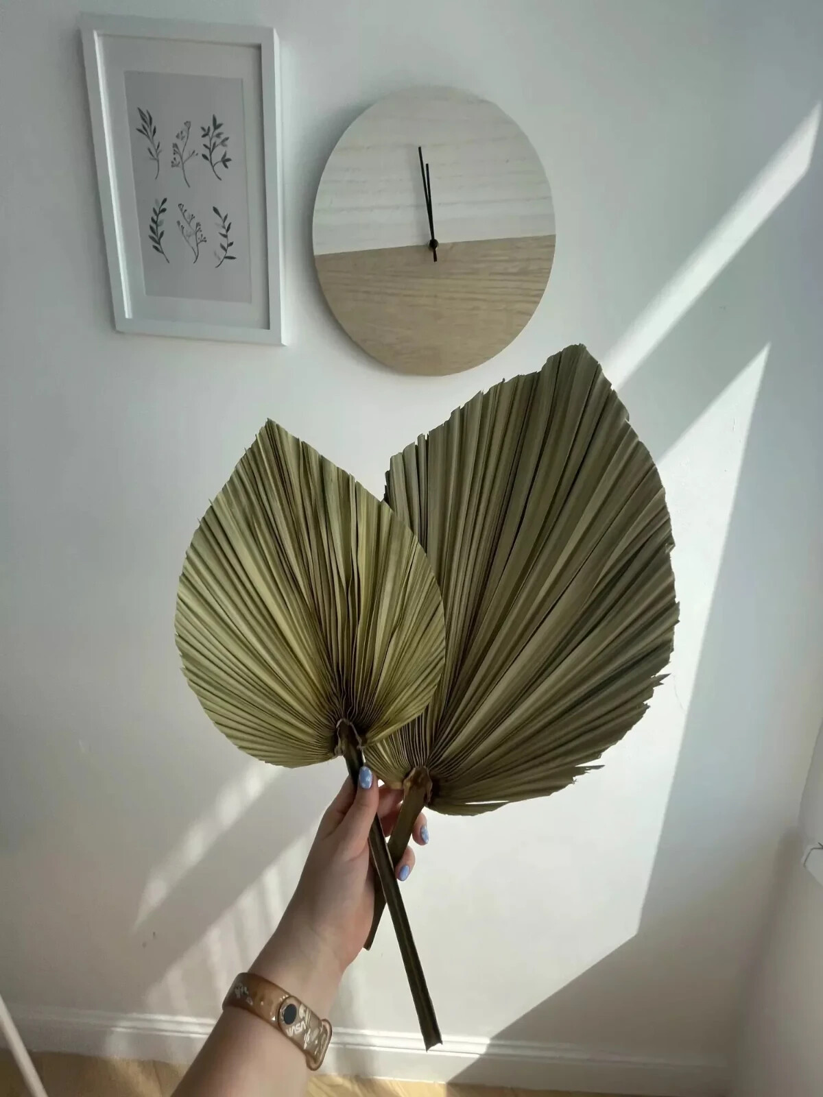 Dried Natural Plant Palm leaves