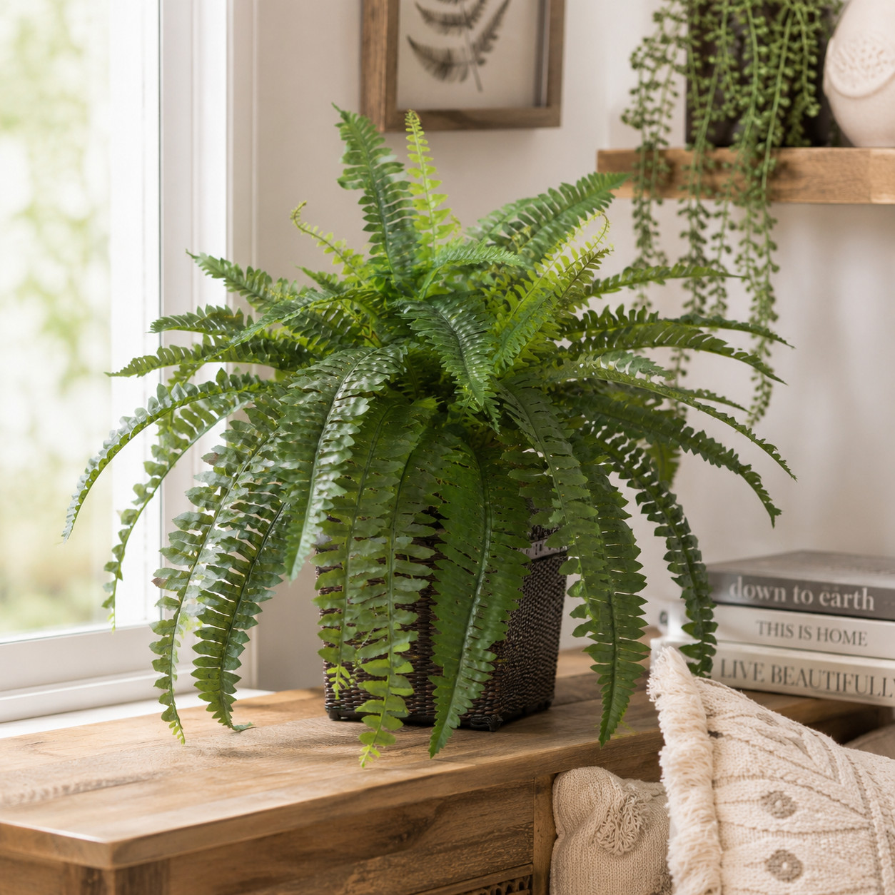 Boston Fern w/Wood Wicker Basket