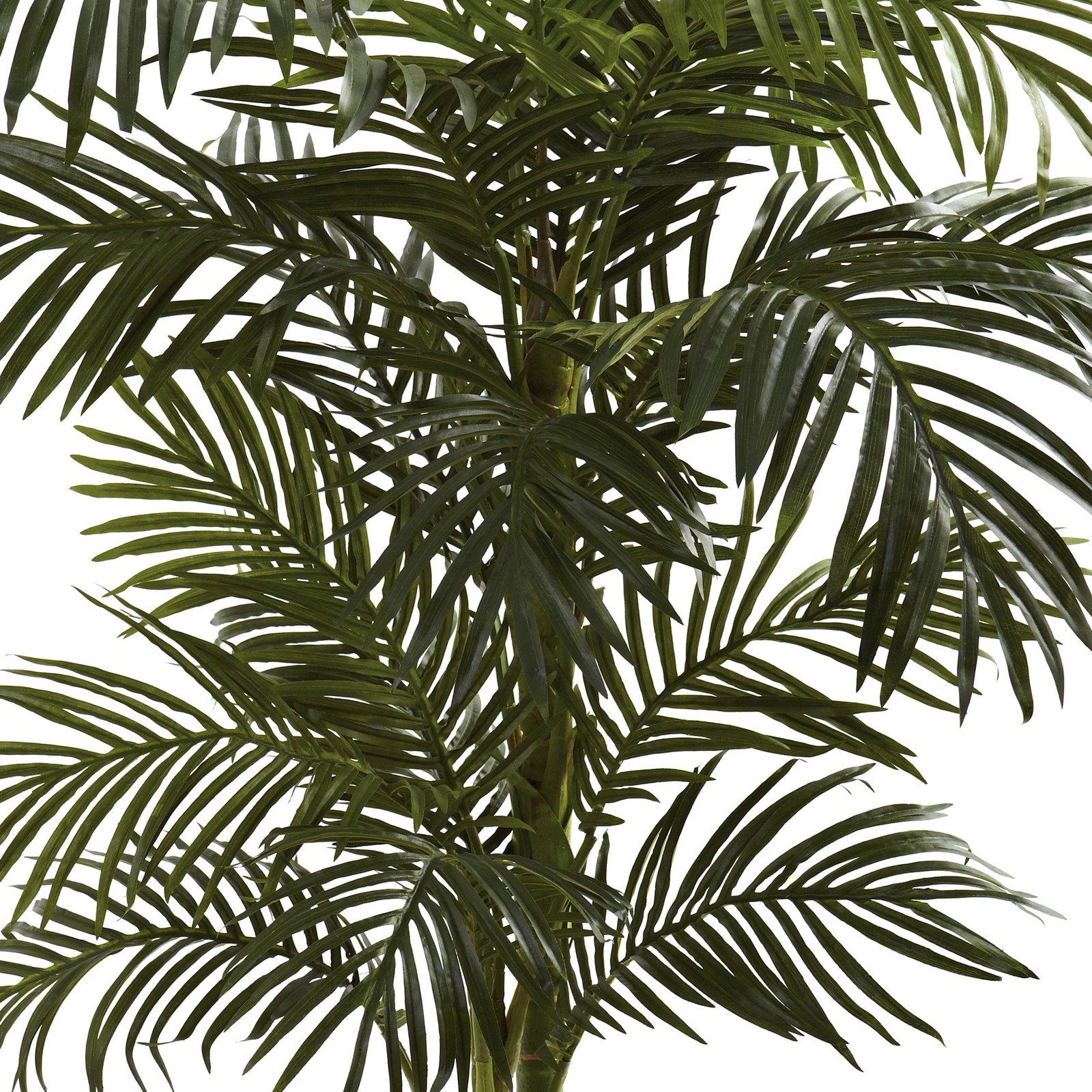 Nearly Natural 60″ Golden Cane Palm Tree with 2-Trunks and Leaves in Green/Black