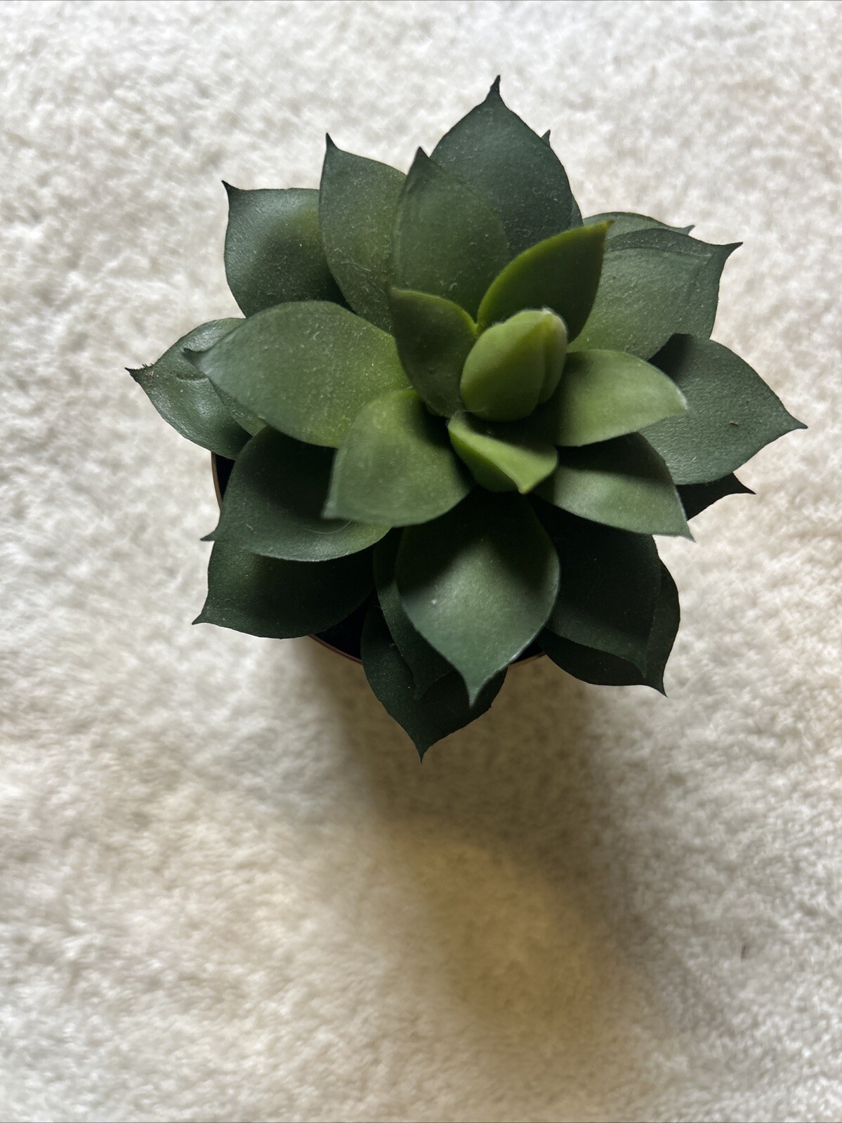 Faux Succulent Artificial Plant 5” In Gold Pots Home Decoration.