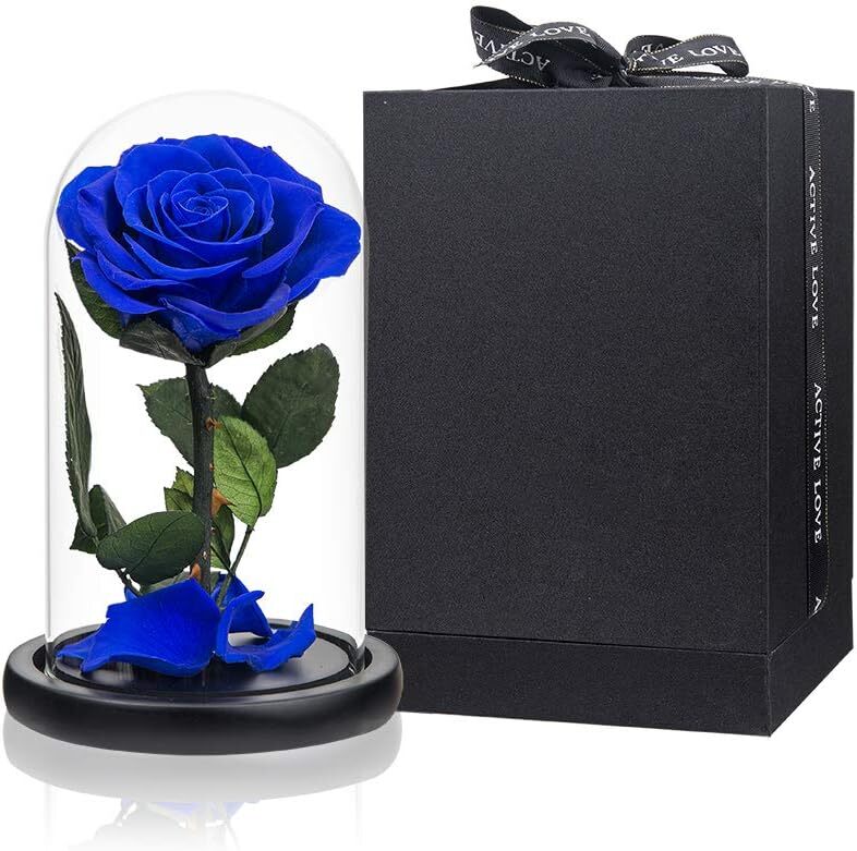 Medium Royal Blue Preserved Rose In Glass Dome Gift For Women