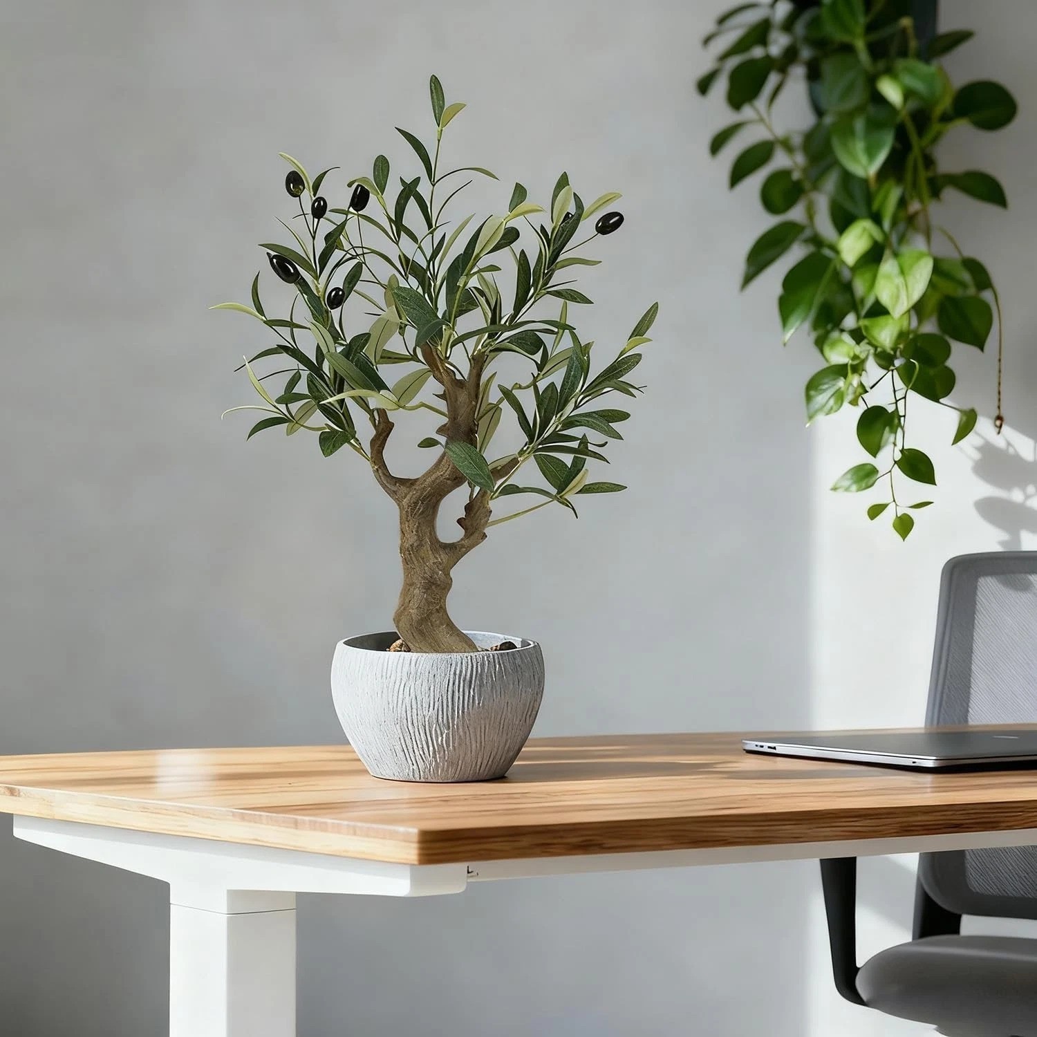 Artificial Olive Tree Potted Plant with Stone Pot, 20.5″ Tall Japanese Bonsai…