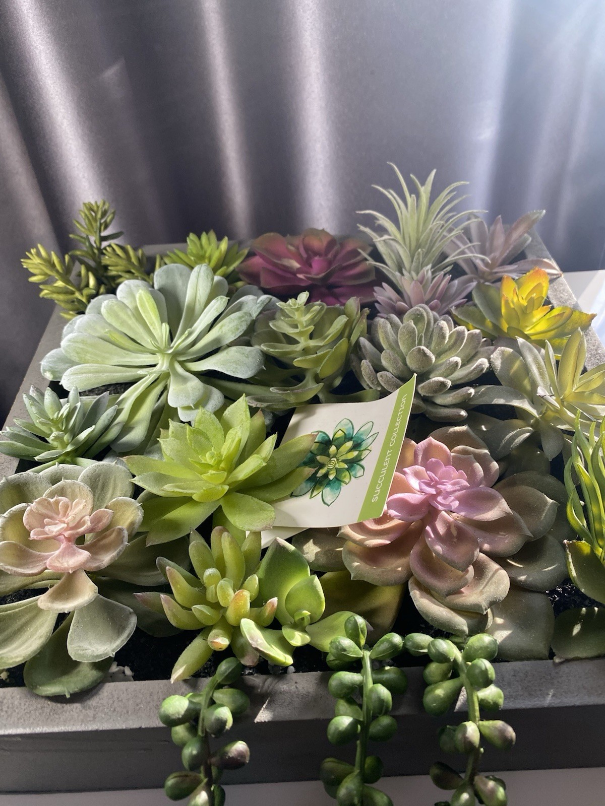 WALL OF FAUX SUCCULENTS in Gray Wood Box Decor Display 12x11x3 inches Art