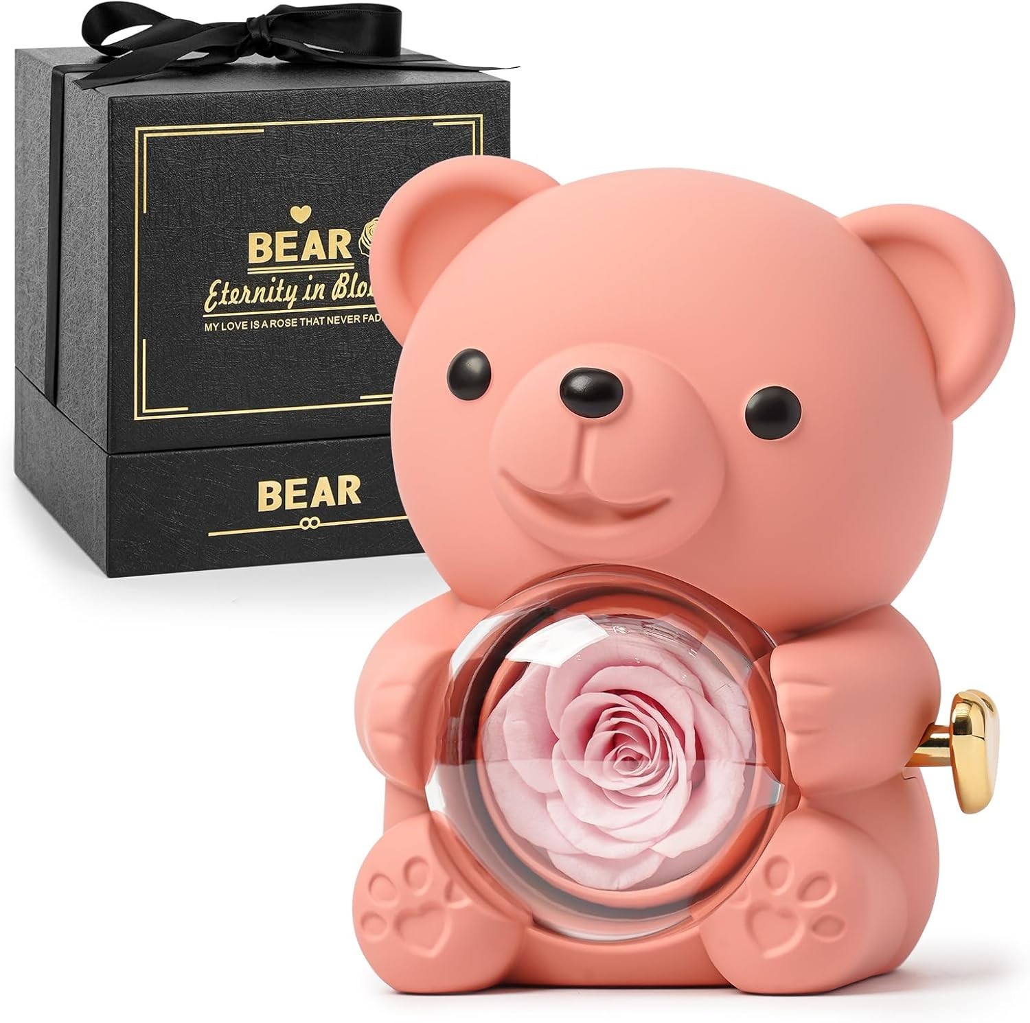Real Preserved Rose Teddy Bear with Jewelry Compartment
