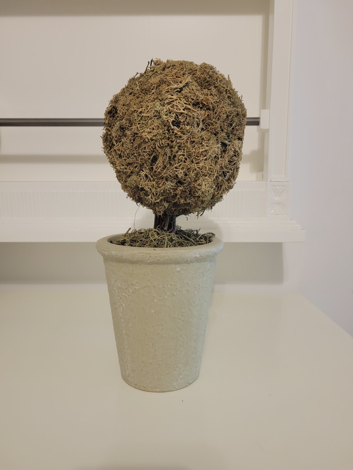 Artificial Moss Ball Topiary in Pot, 12 in, Green/Beige Dried Greenery