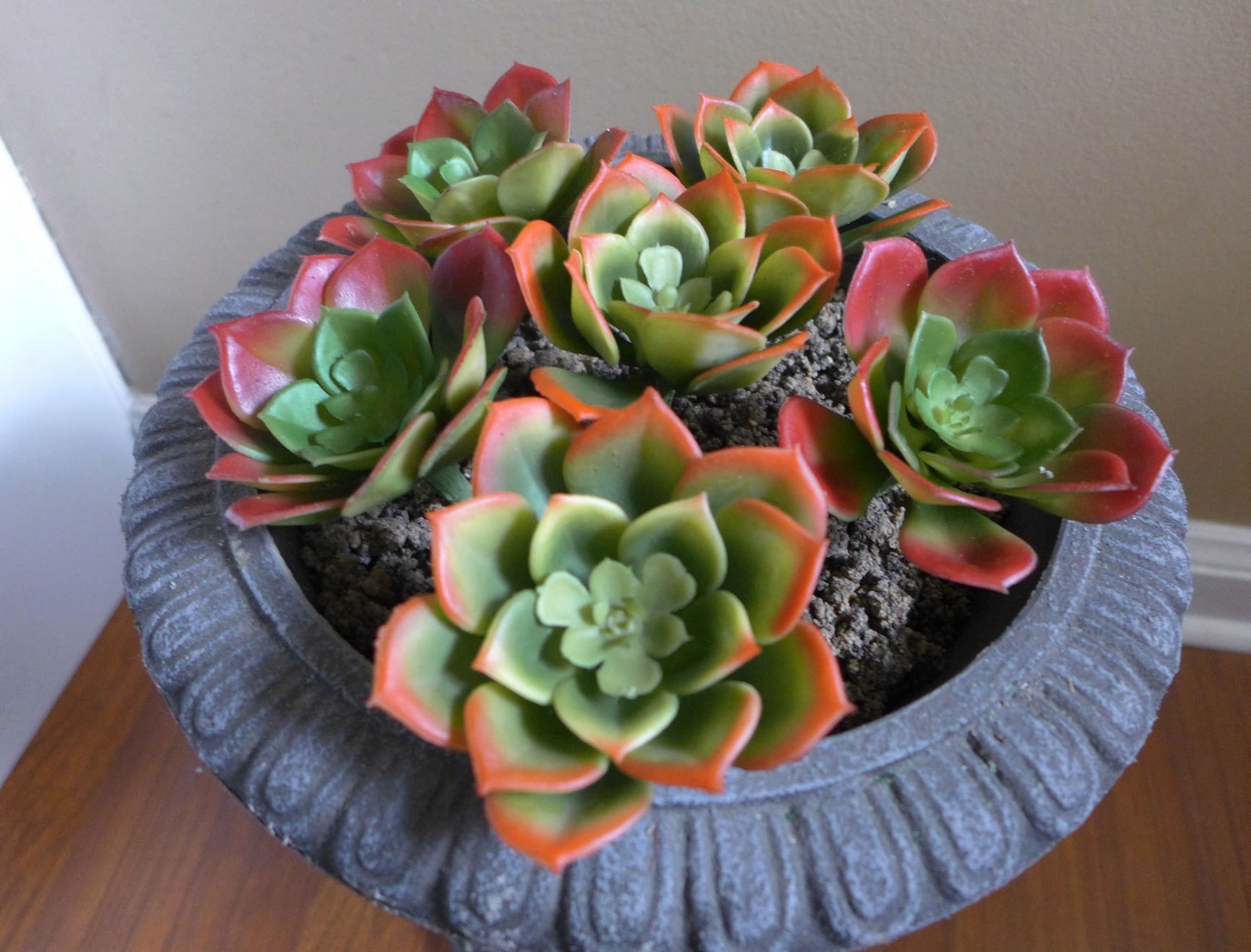 Set of 6 Small Snow Lotus Artificial Plastic Desert Succulents Grass(2 colors)