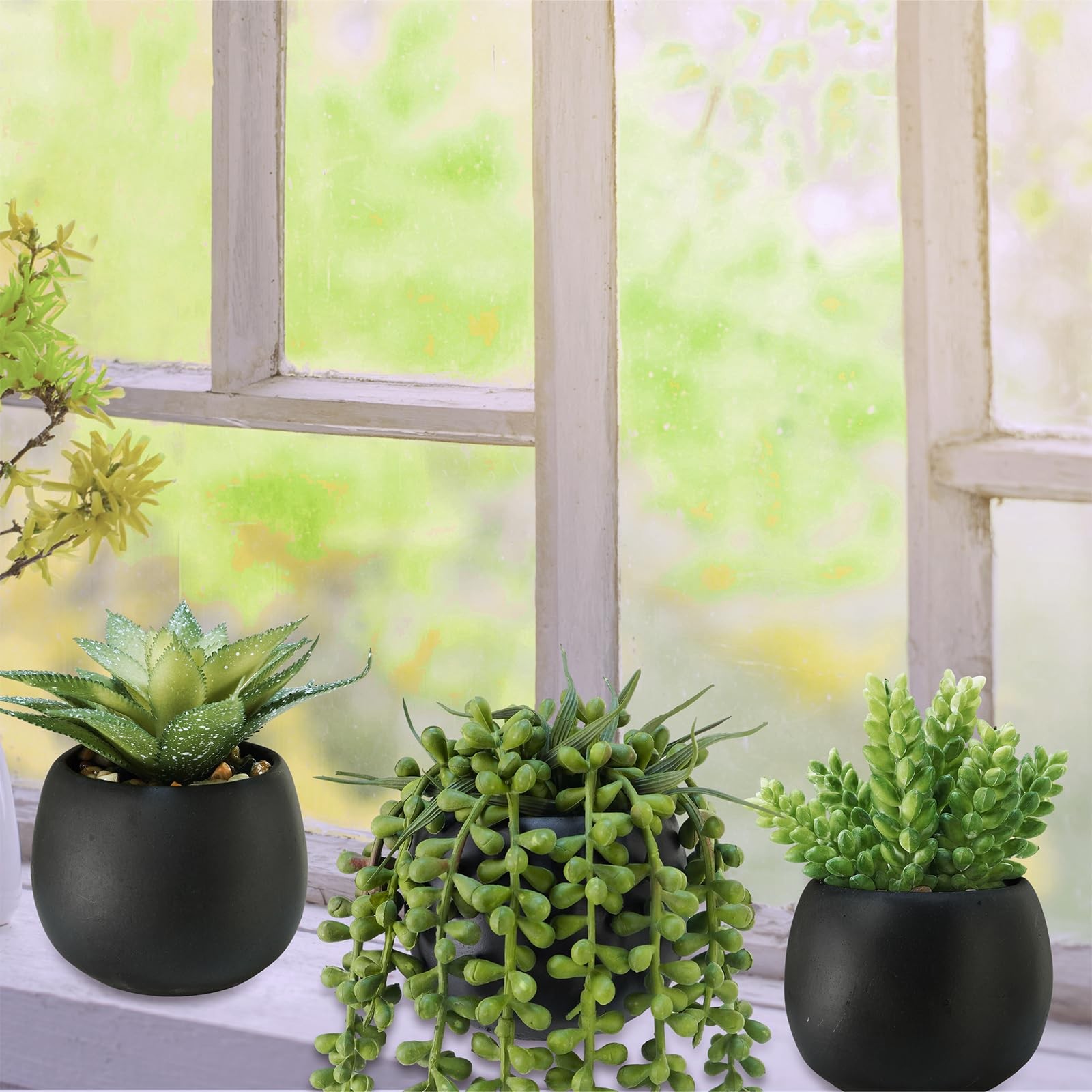 Set of 3 Artificial Succulents Plants in Black Cement Planters Faux Potted Pl…