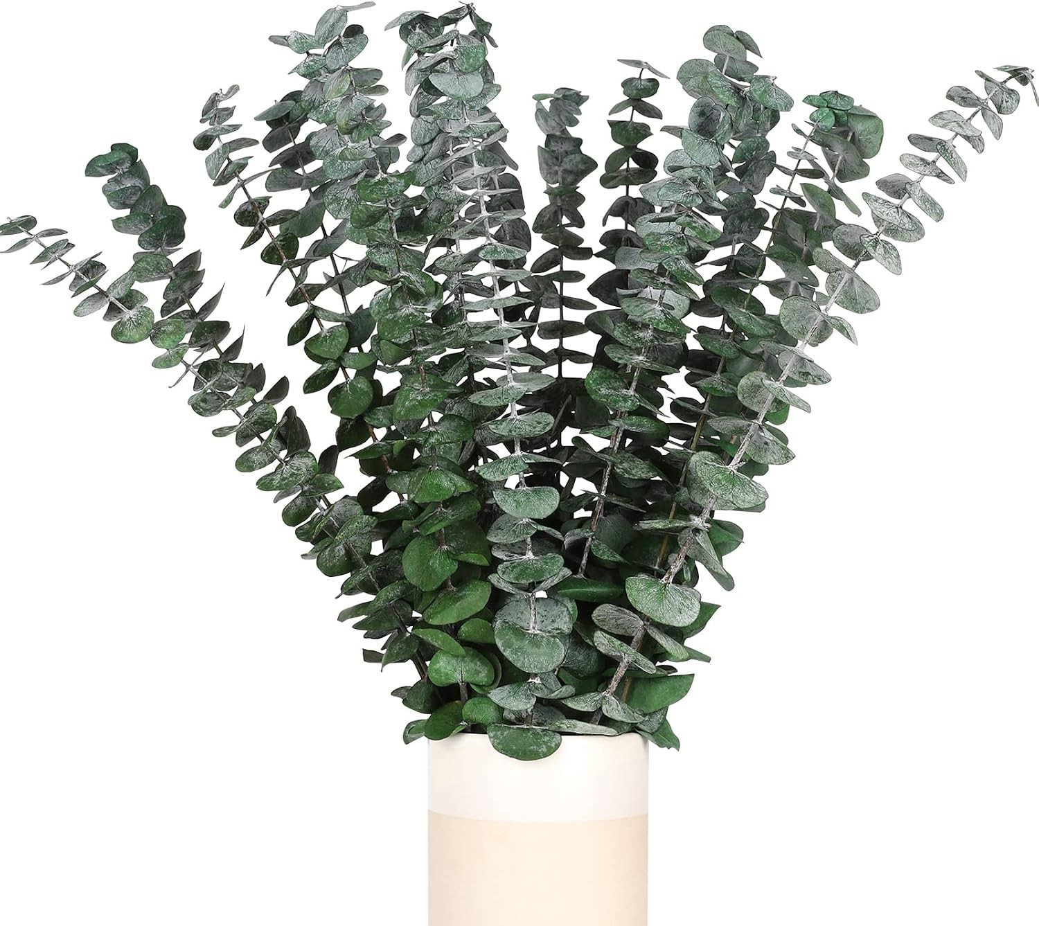 Real Dried Eucalyptus Stems, 20PCS Preserved Eucalyptus Plant 17inch Fresh Eu…