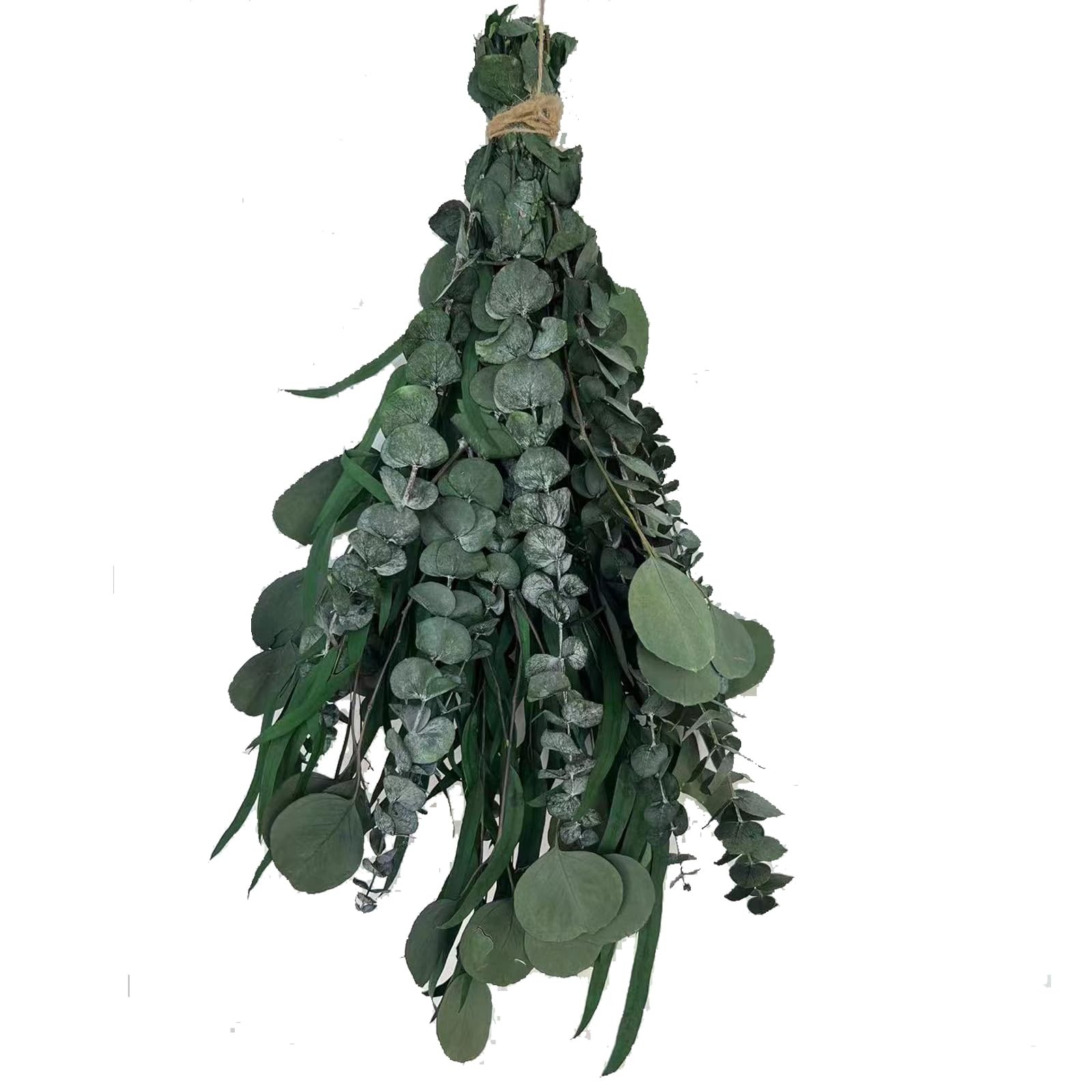 22 PCS Dried Eucalyptus for Shower Bundle, 17” Real Large Preserved Eucalypt…
