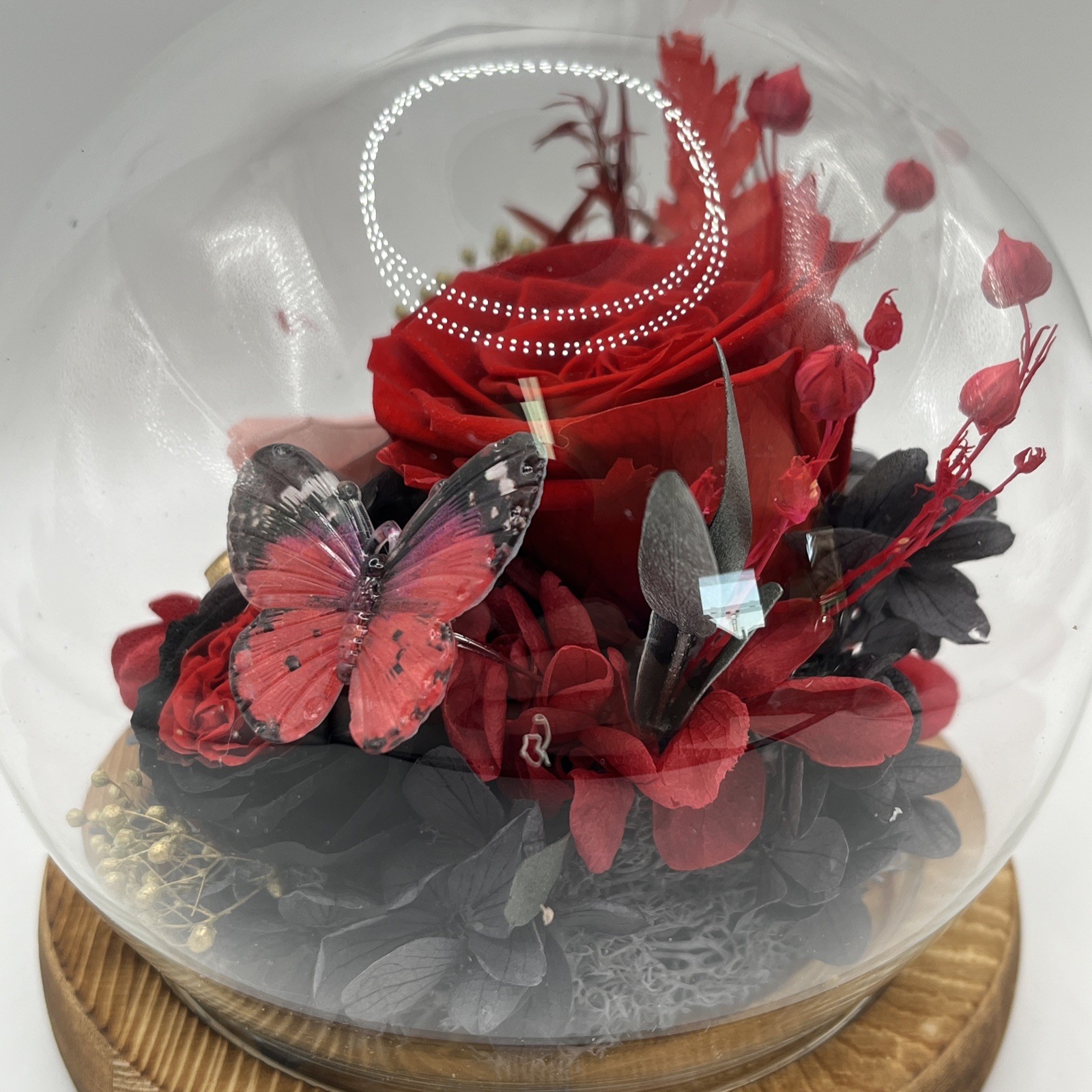 Preserved Flowers Roses in Glass Dome, Forever Flowers for Delivery Graclect New