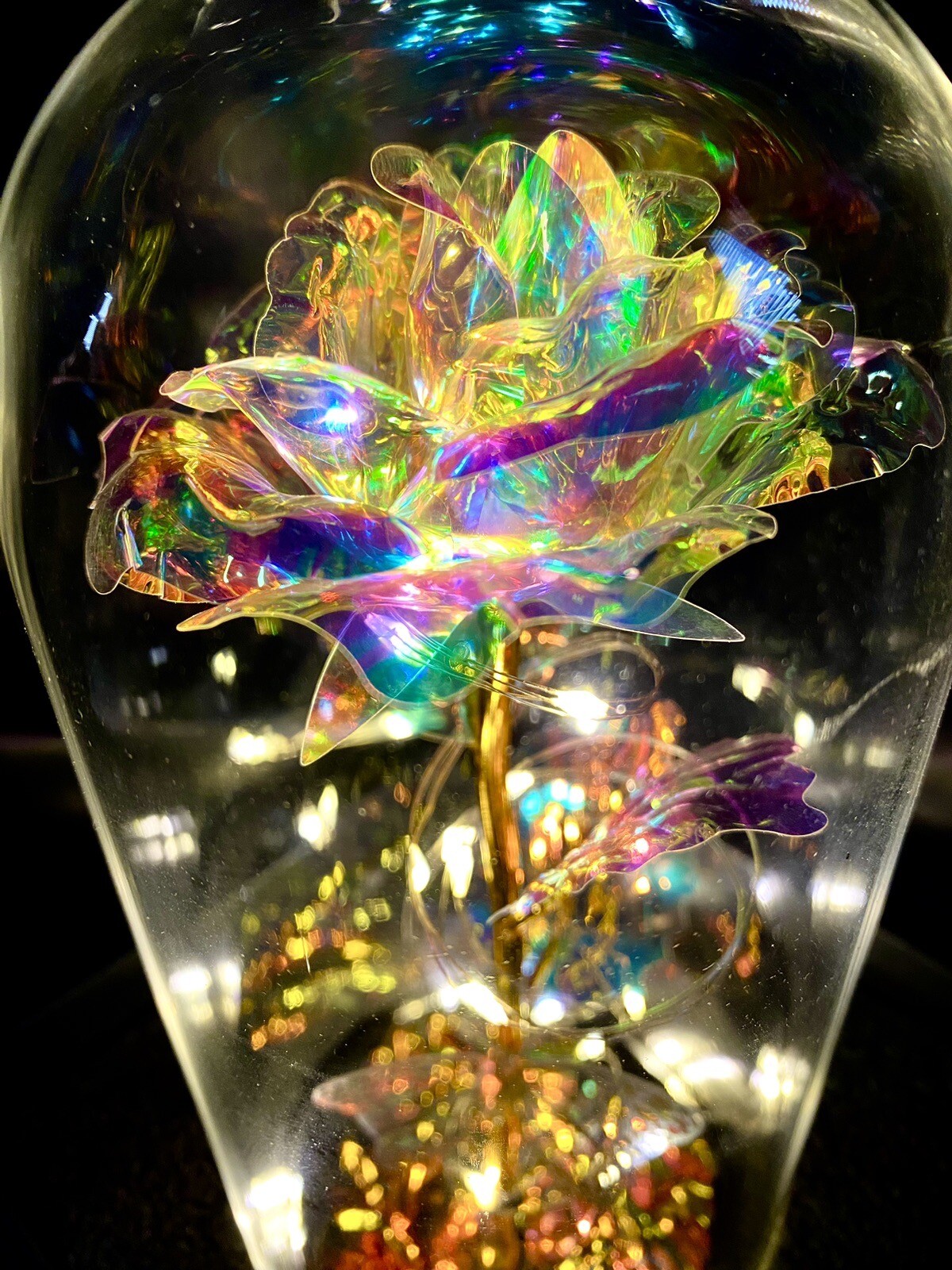 Eternal Rose In Dome With Fairy Lights Batteries Included Best Wishes Boxed Gift