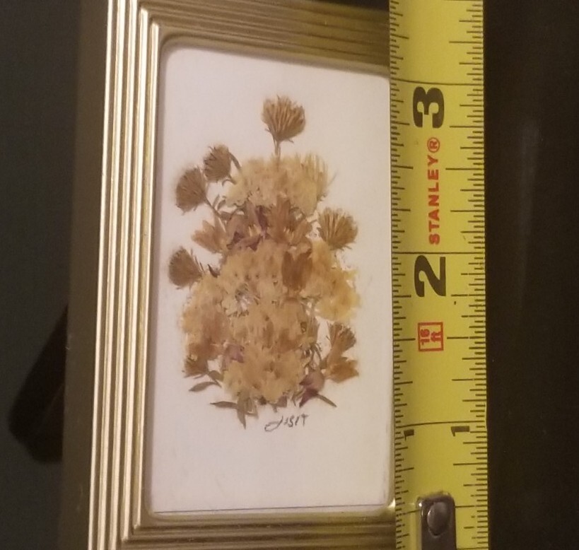 Small 2 3/8″ X 3 3/8″ Press Dried Flower #8 Multicolors Framed FF25