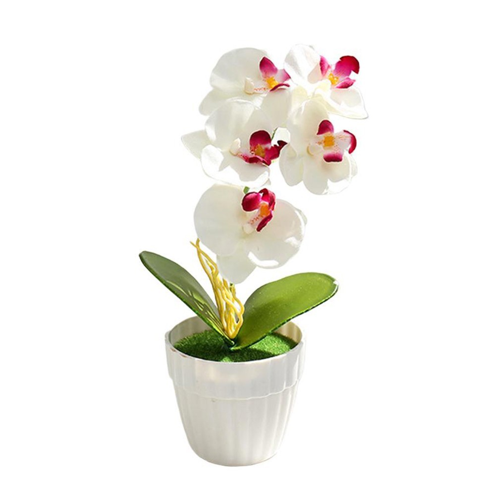 Small Simulation Phalaenopsis Bonsai Flower for Indoor Decorative Display