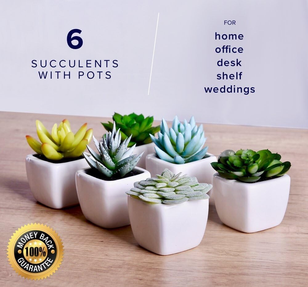 6Pcs Artificial Succulents Plants Indoor Decor in Pots Fake Succulent Plant Faux