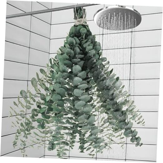 11 PCS Real Dried Eucalyptus for Shower Hanging Decor- 17” Large Eucalyptus