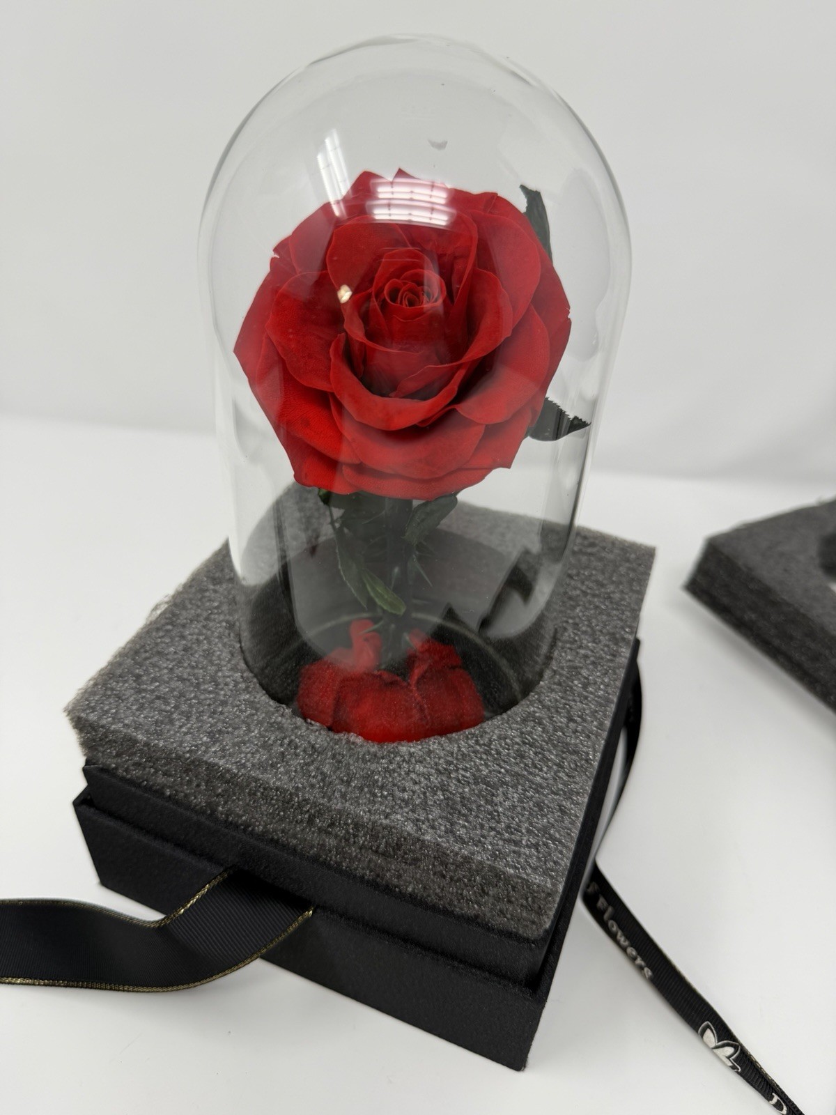 Forever Preserved Rose – Eternal Rose in Glass Dome – Beauty and the Beast Rose