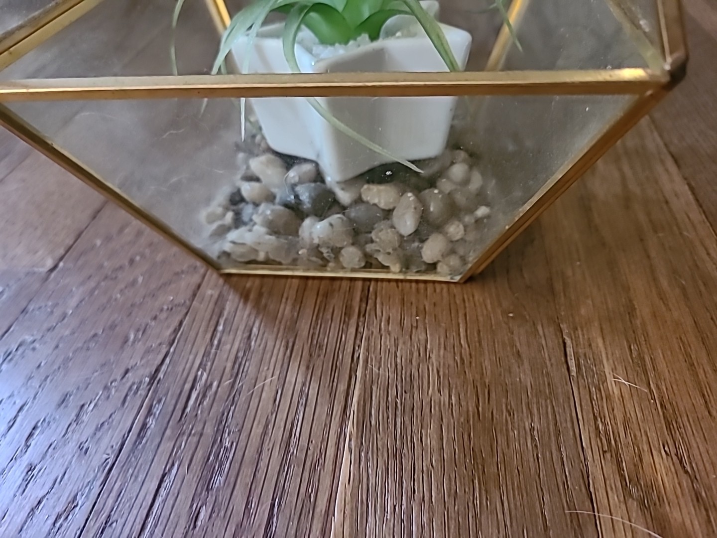 Pyramid Glass Geometric Terrarium Box Hanging Planter Artificial Suculents