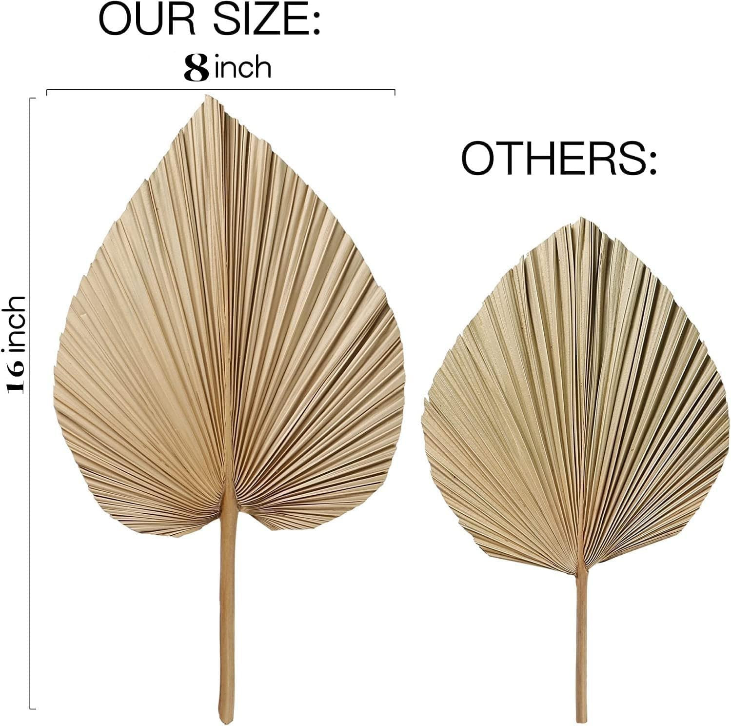 4 Pack 16” Natural Dried Palm Leaves Fans for Boho Wedding Home Party Kitchen V