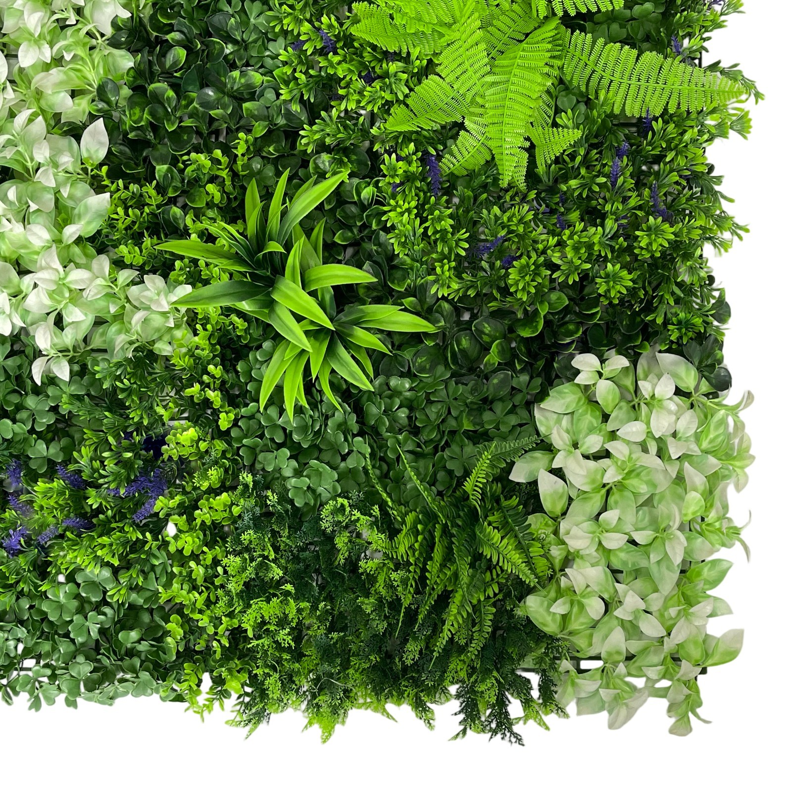 1x1mt Vertical, Green Wall, With Blue and White Flowers, Artificial Plants