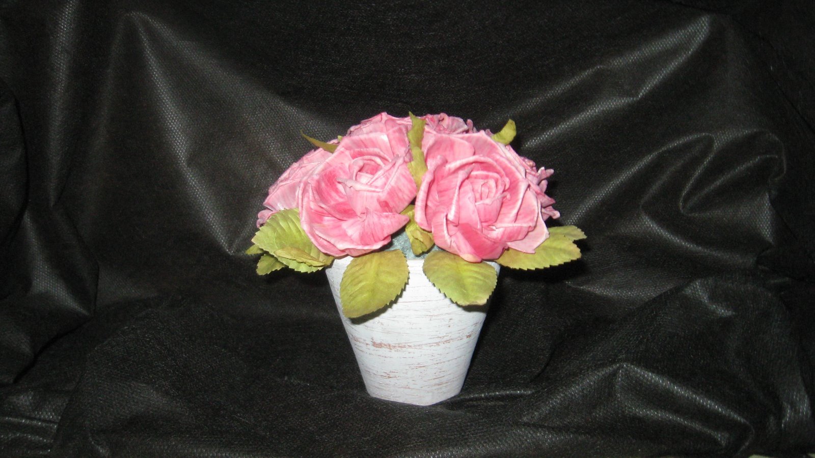 Pink Roses