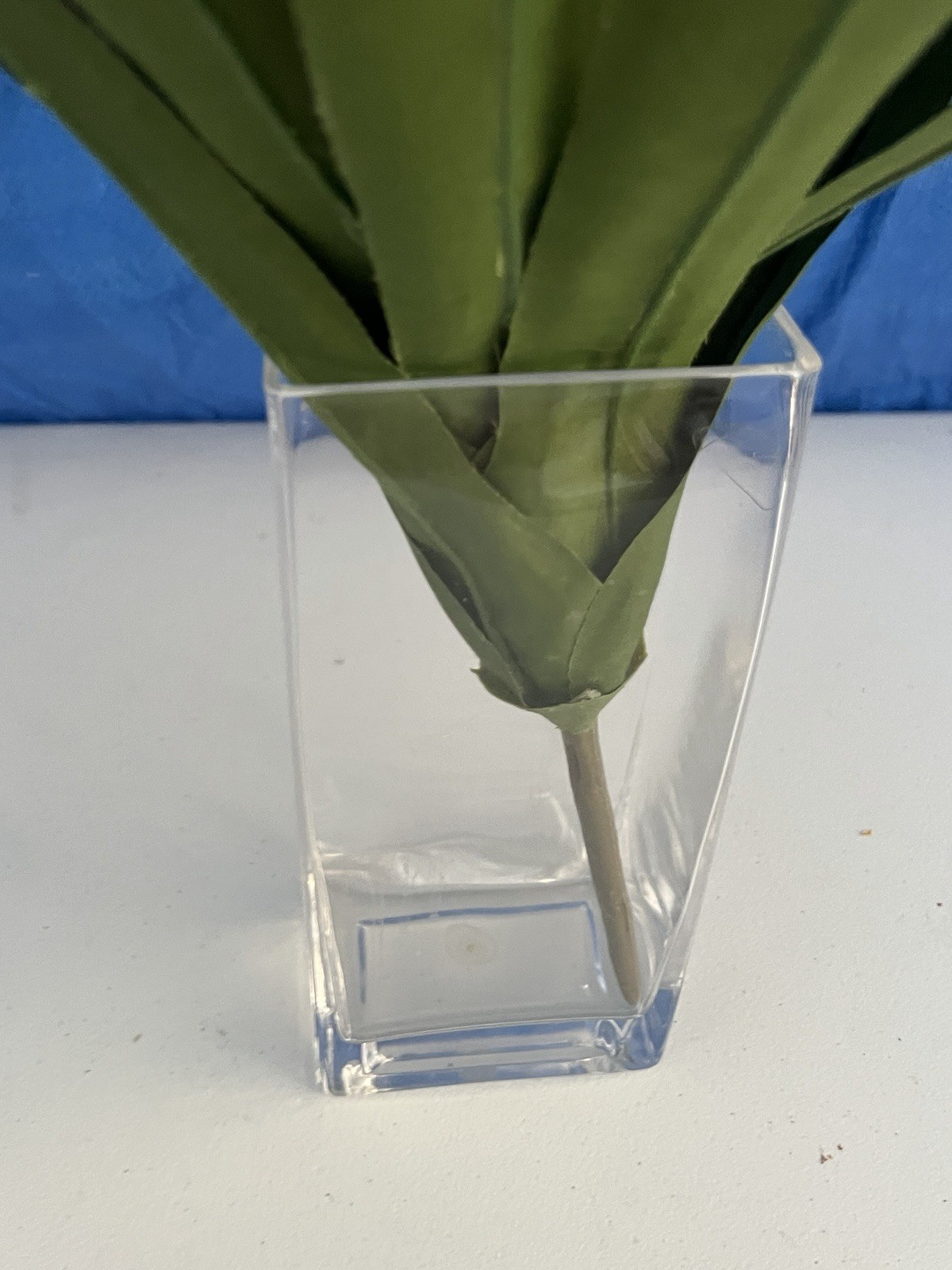 Artificial Flower Guzmania Star Scarlet Red Green Leaves In Clear Vase