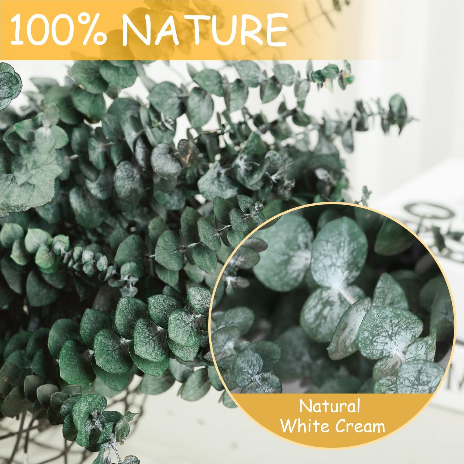 Dried Eucalyptus Bundle 22 Stems 17″ Fresh Real Leaves for Shower – Natural